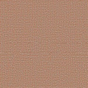 CLW05 - Callan